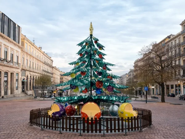 Atracción Abeto Mágico